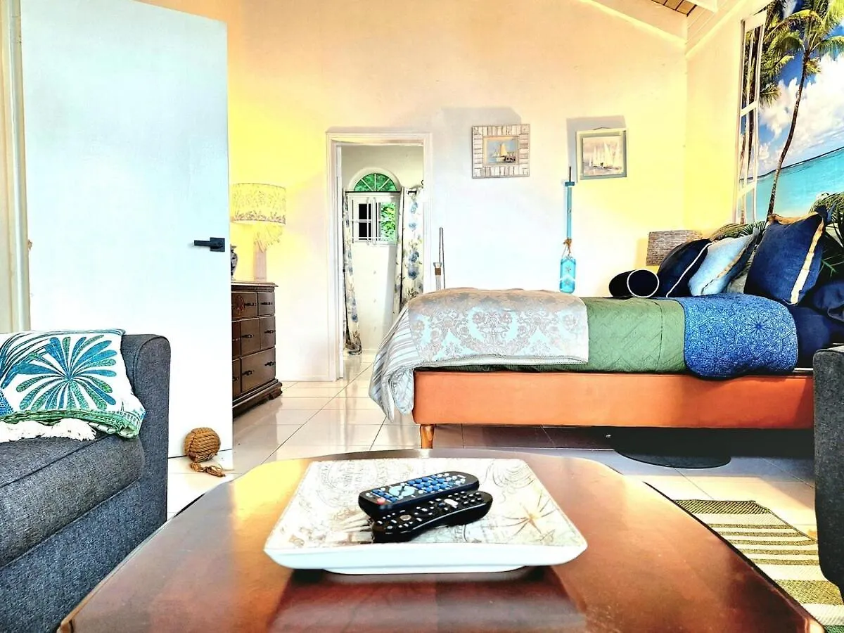 公寓 Oceanview! Walk To Town And Beach-Payment Required To Reserve 奥乔里奥斯