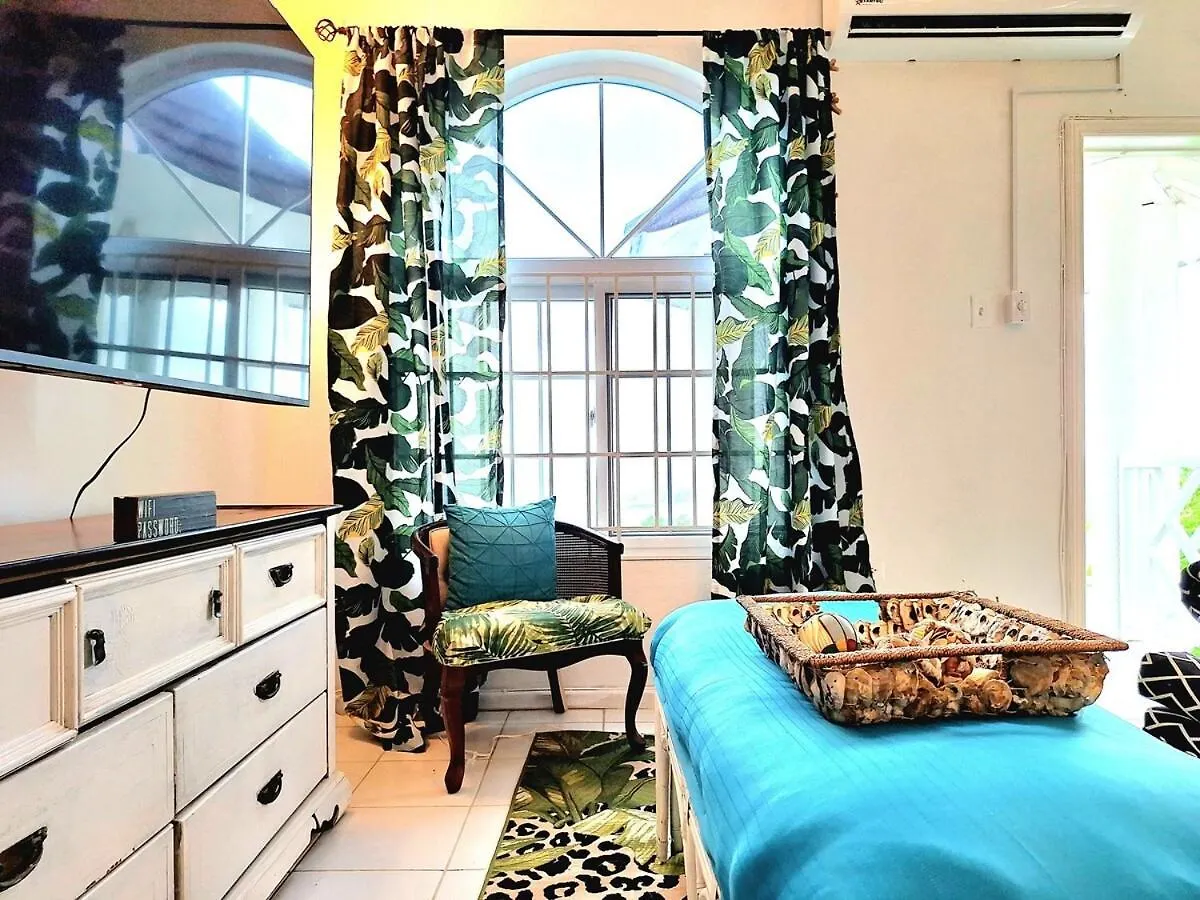 Oceanview! Walk To Town And Beach-Payment Required To Reserve Ocho Rios Apartman